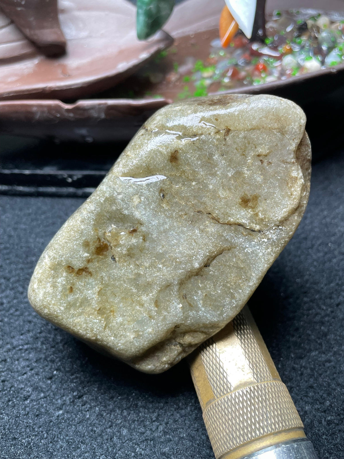 后江全赌种水料（yc696162）