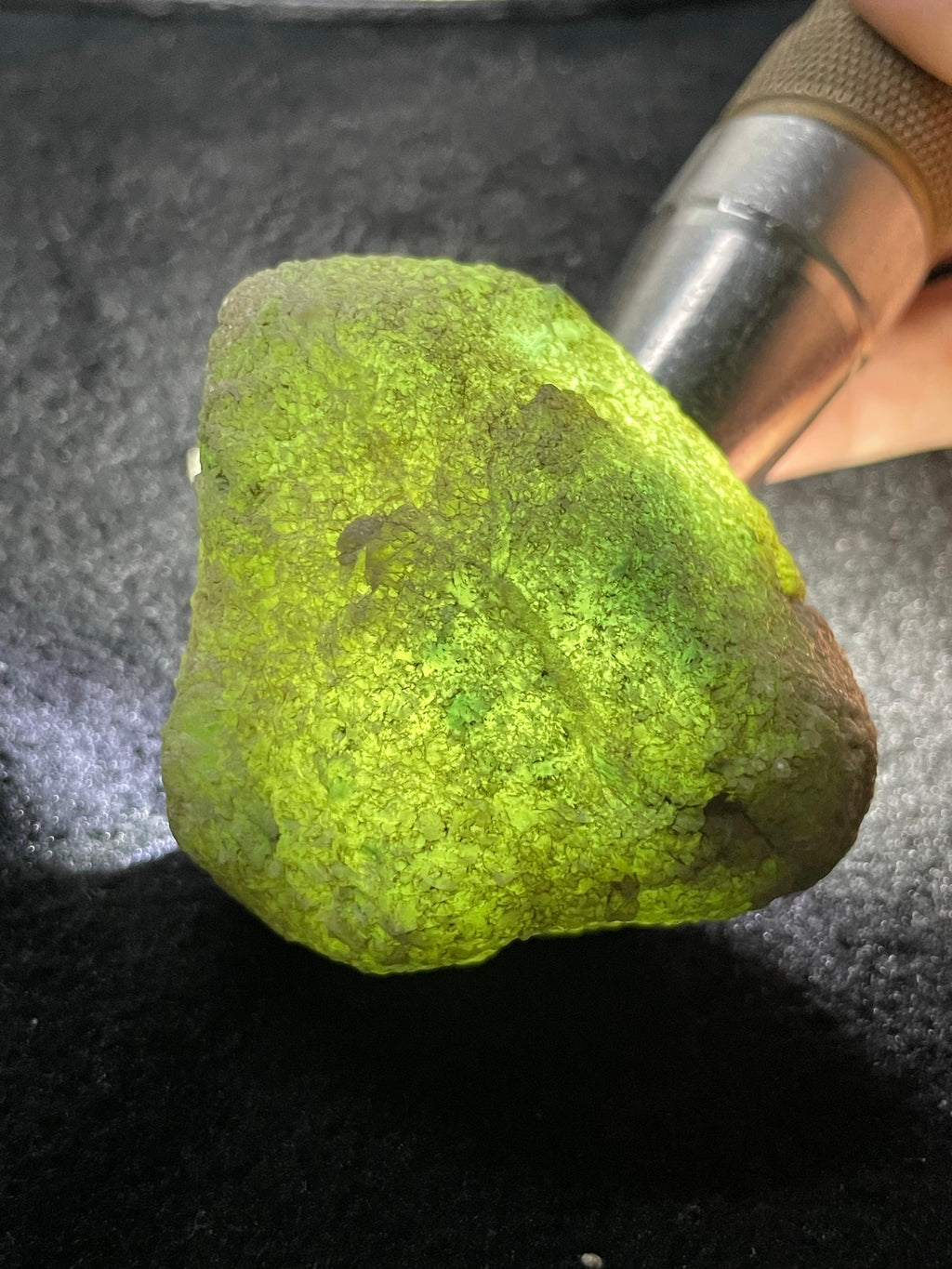 莫西沙脱沙小精品（yc530989）