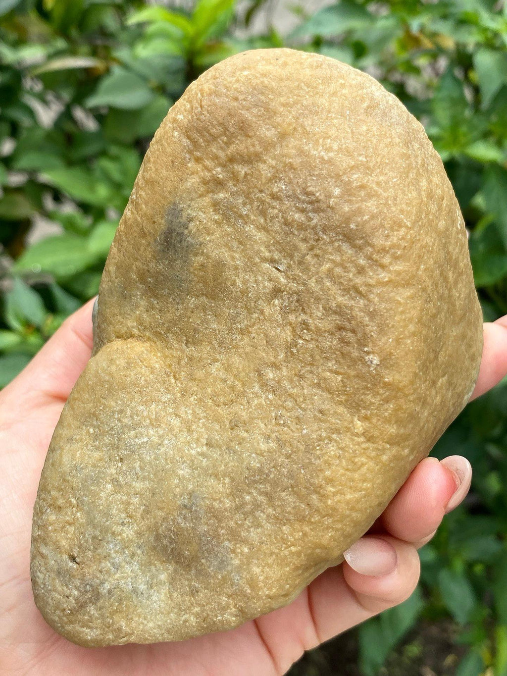 毛料｜达马坎（yc359516）