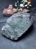 莫湾基开窗冰晴飘花手镯料（yc694164）