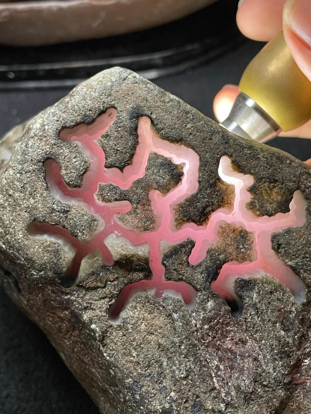 会卡开窗粉春料（yc538233）