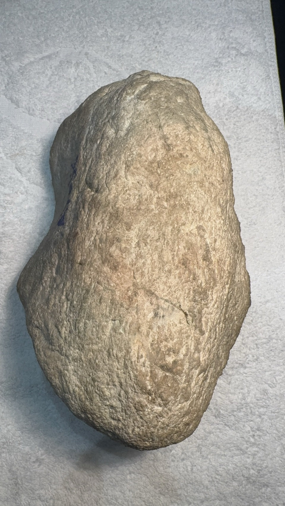 白皮脱沙料（yc054505）