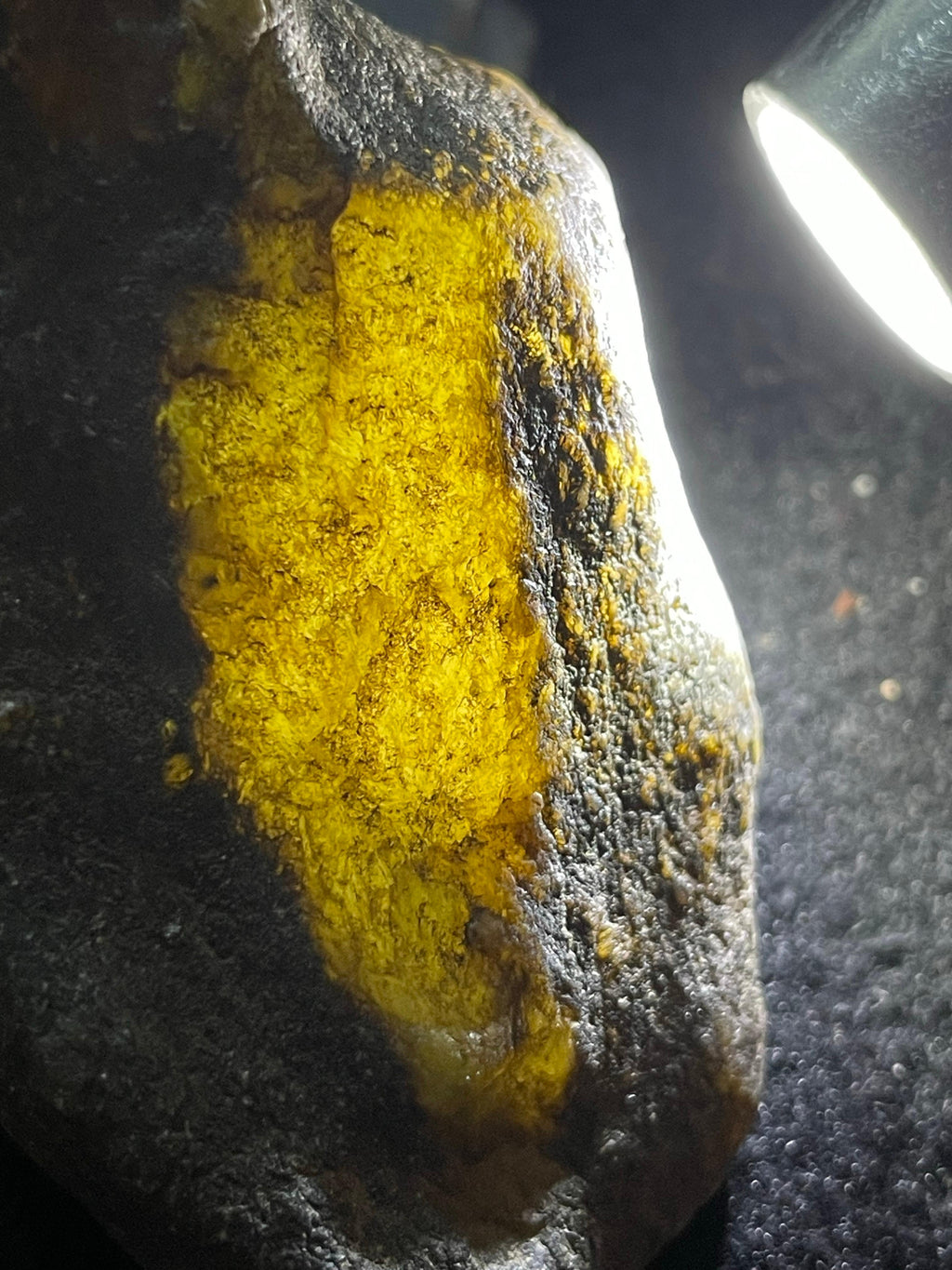 全赌莫西沙脱沙料（yc712248）
