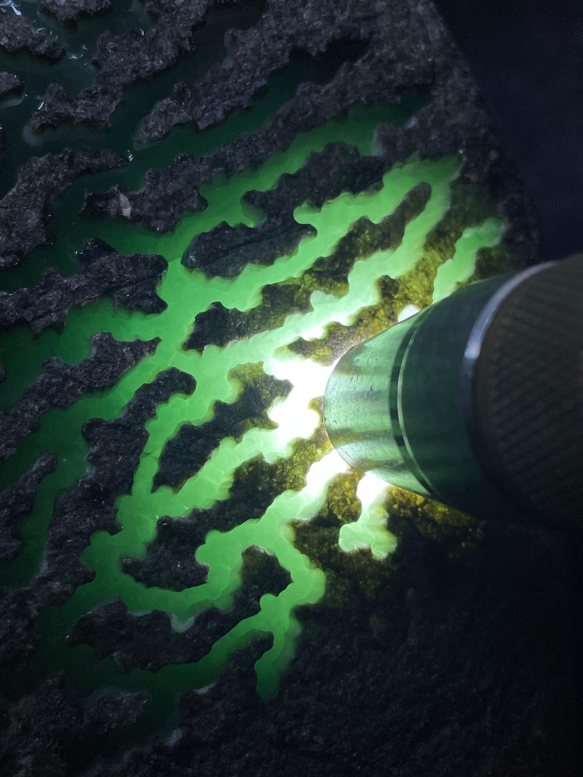 莫西沙开窗晴底手镯料（yc692707）