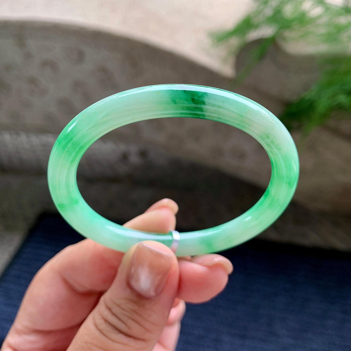 细糯种飘绿花贵妃手镯 52.6圈口 天然缅甸A货翡翠（yc703288）