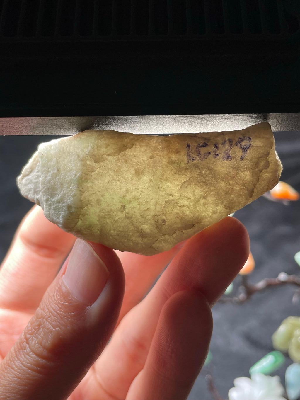 木那脱沙小精品（yc702775）
