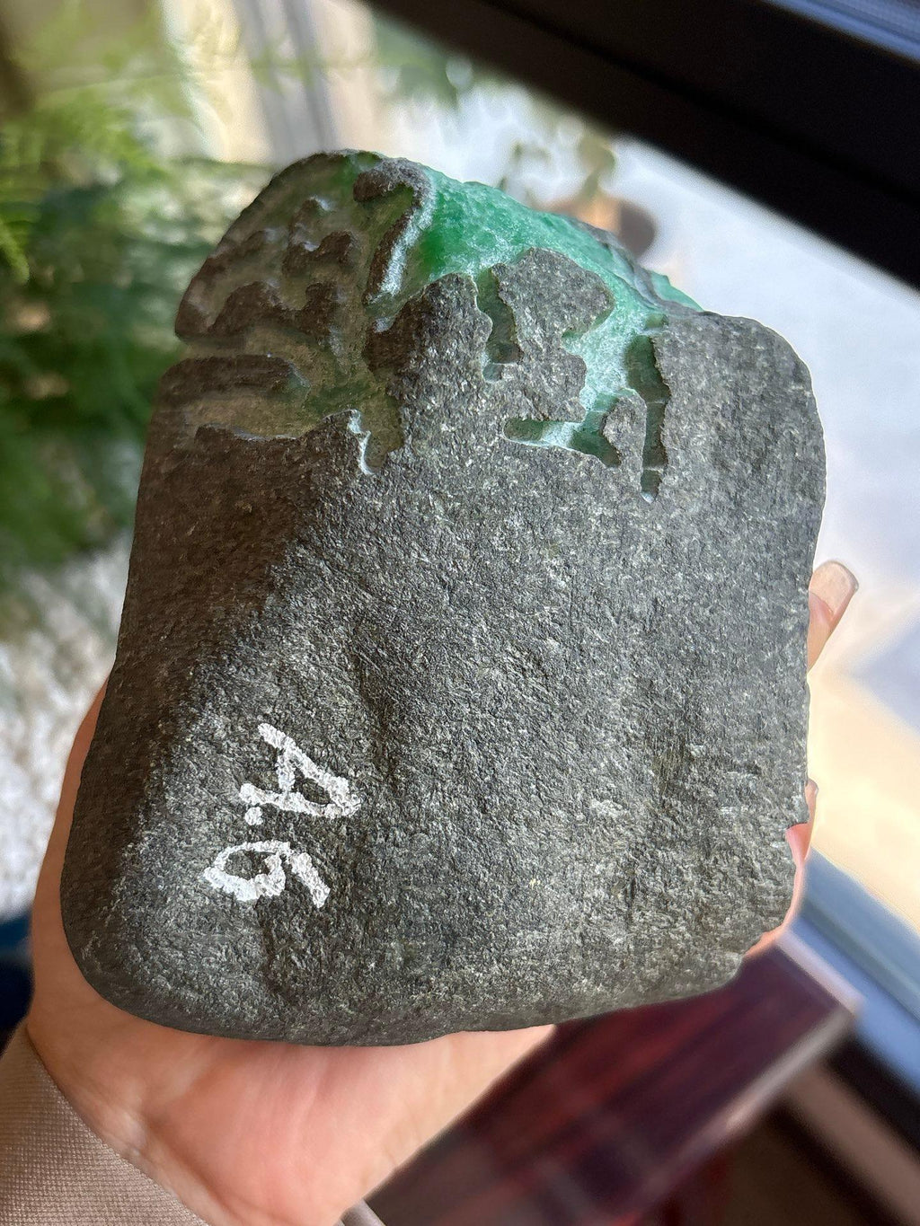 毛料｜莫西沙（yc359555）