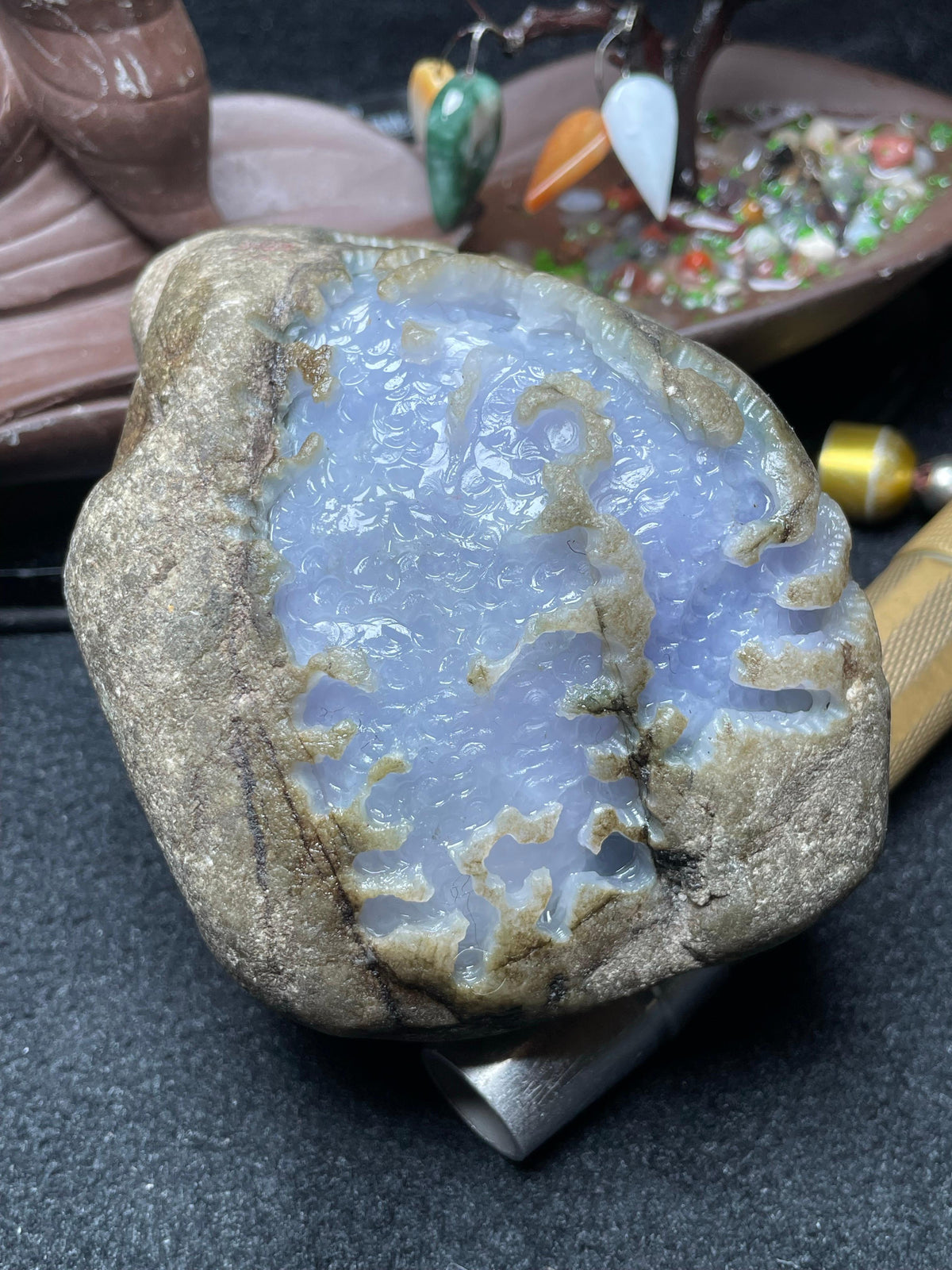 后江开窗冰底紫罗兰（yc538238）