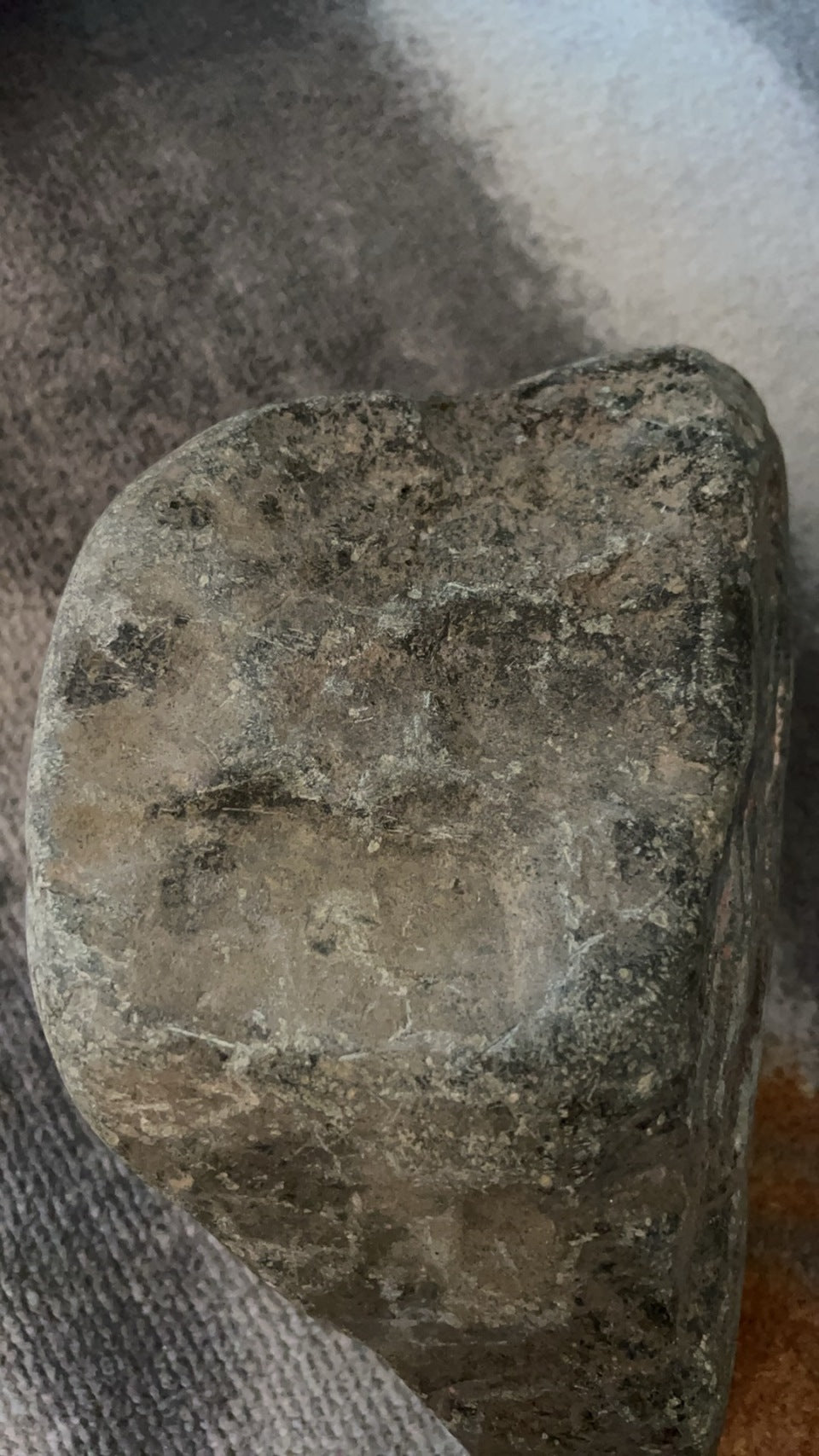 会卡（yc049310）