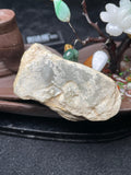 极品木那脱沙小精品（yc533472）