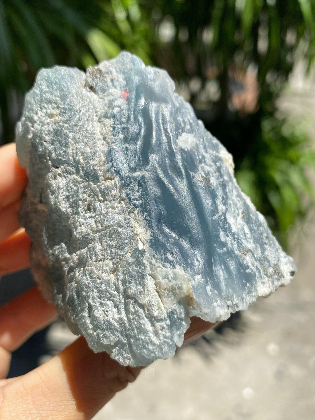 毛料｜莫西沙（yc359601）