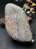 莫西沙多彩开窗特色料（yc693783）
