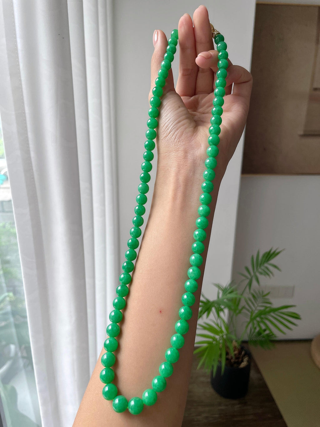 细糯种满绿珠串（yc718997）