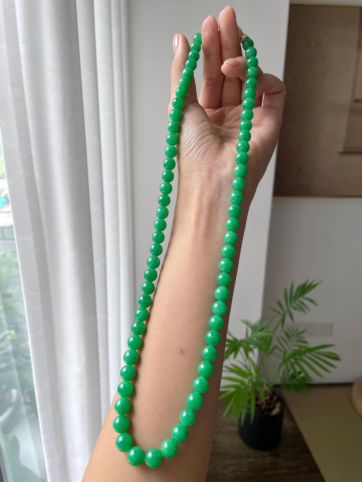 细糯种满绿珠串（yc718997）