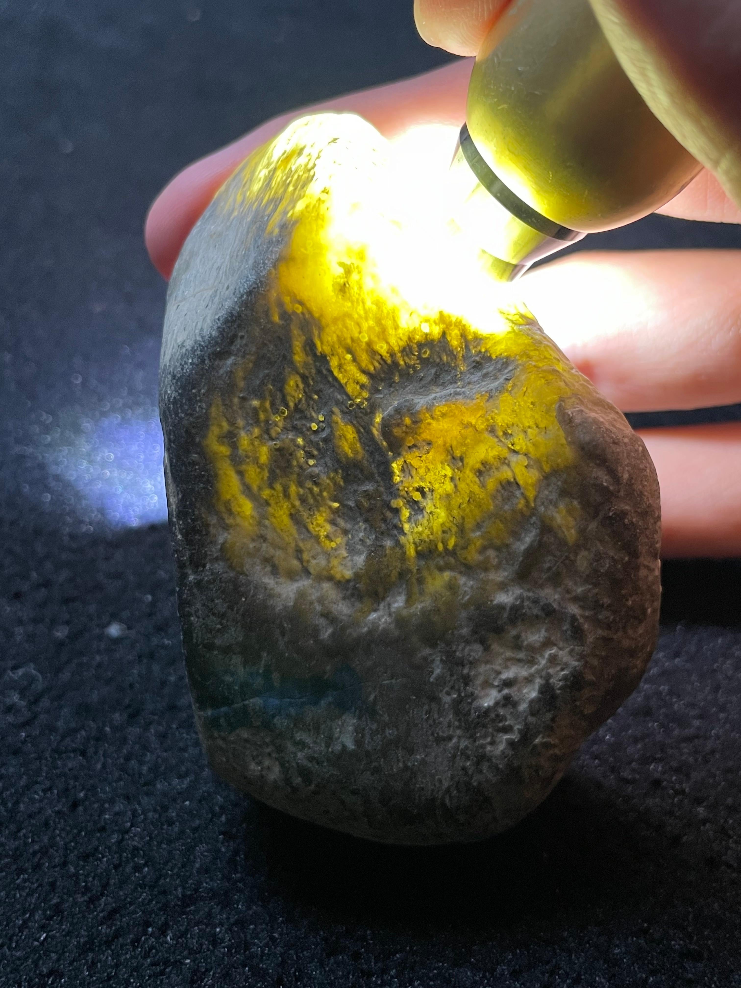 ｜莫西沙脱沙精品（yc487592）