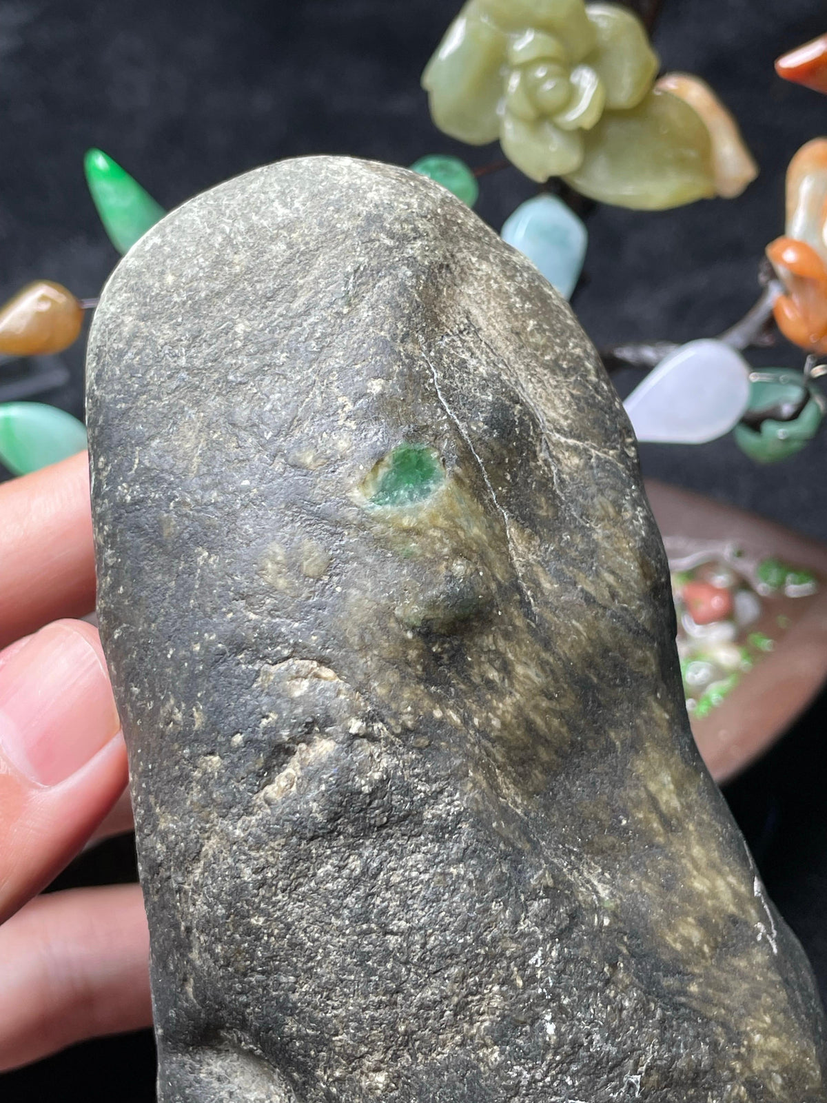 南齐开窗冰底飘绿花（yc697884）