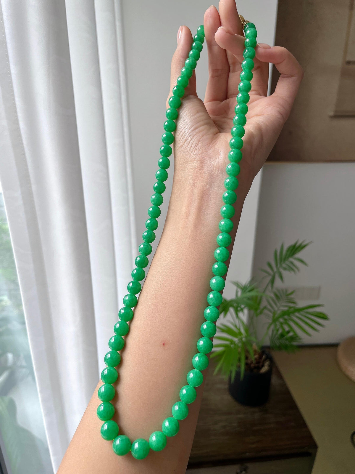 细糯种满绿珠串（yc718997）