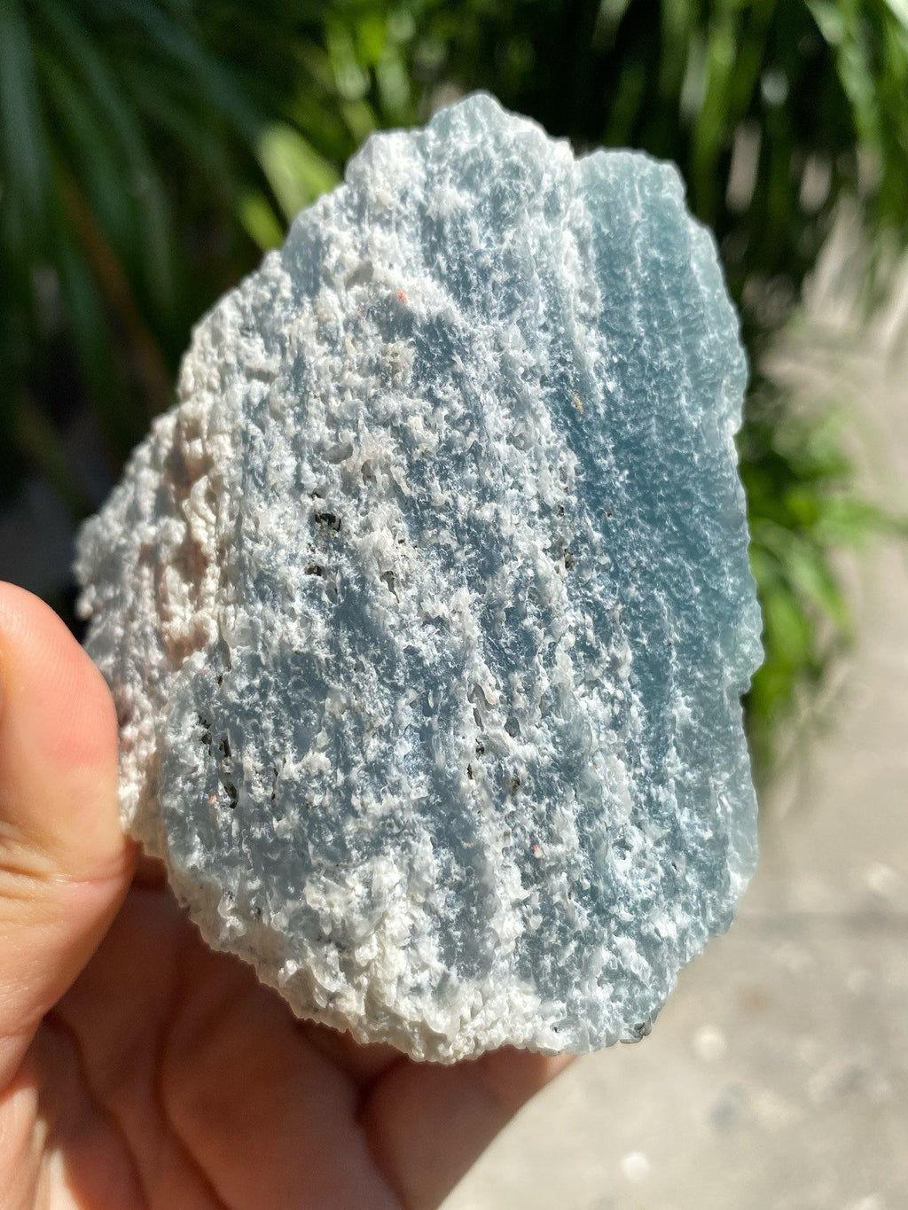毛料｜莫西沙（yc359601）