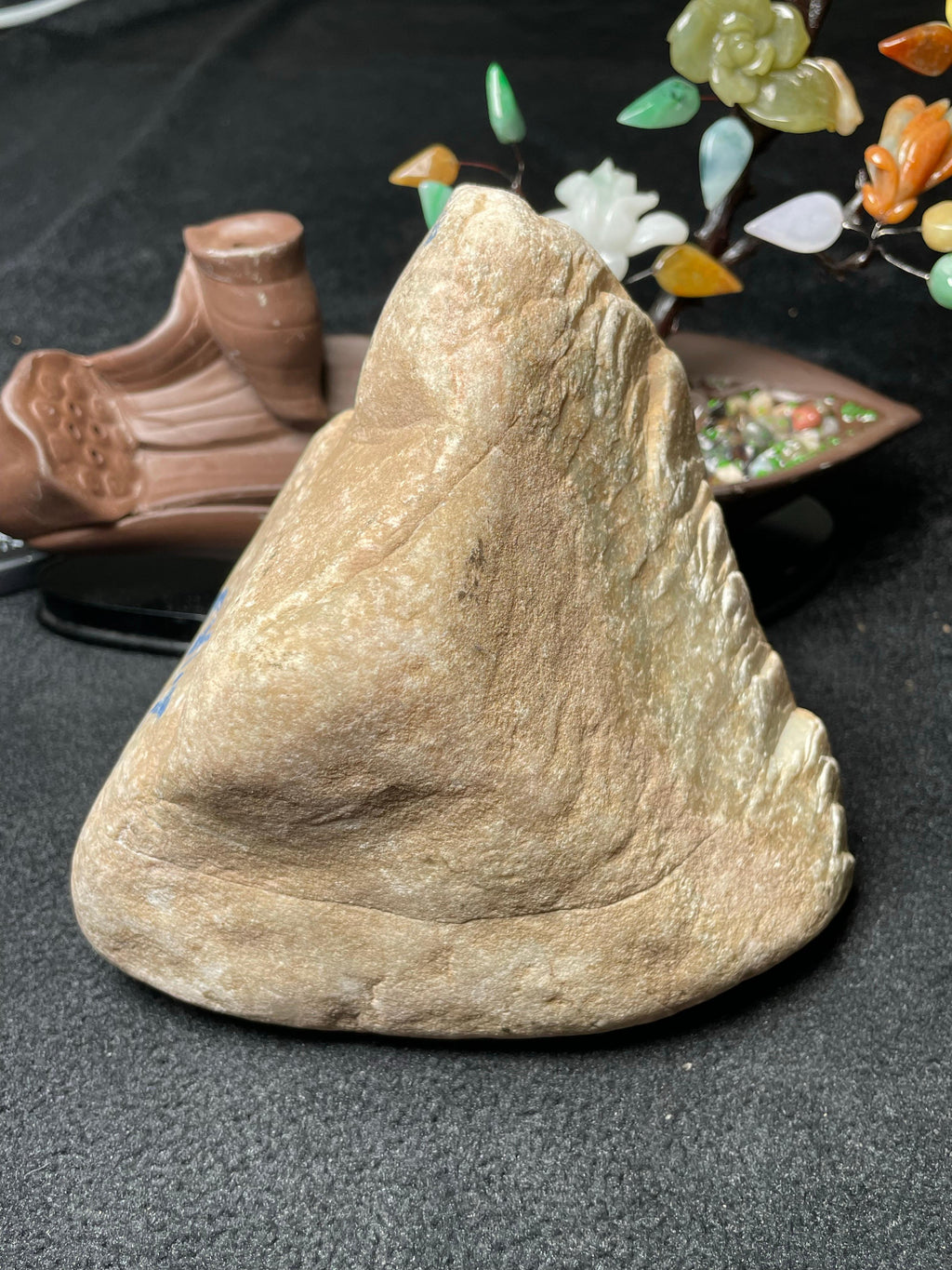 木那开窗紫罗兰（yc506373）