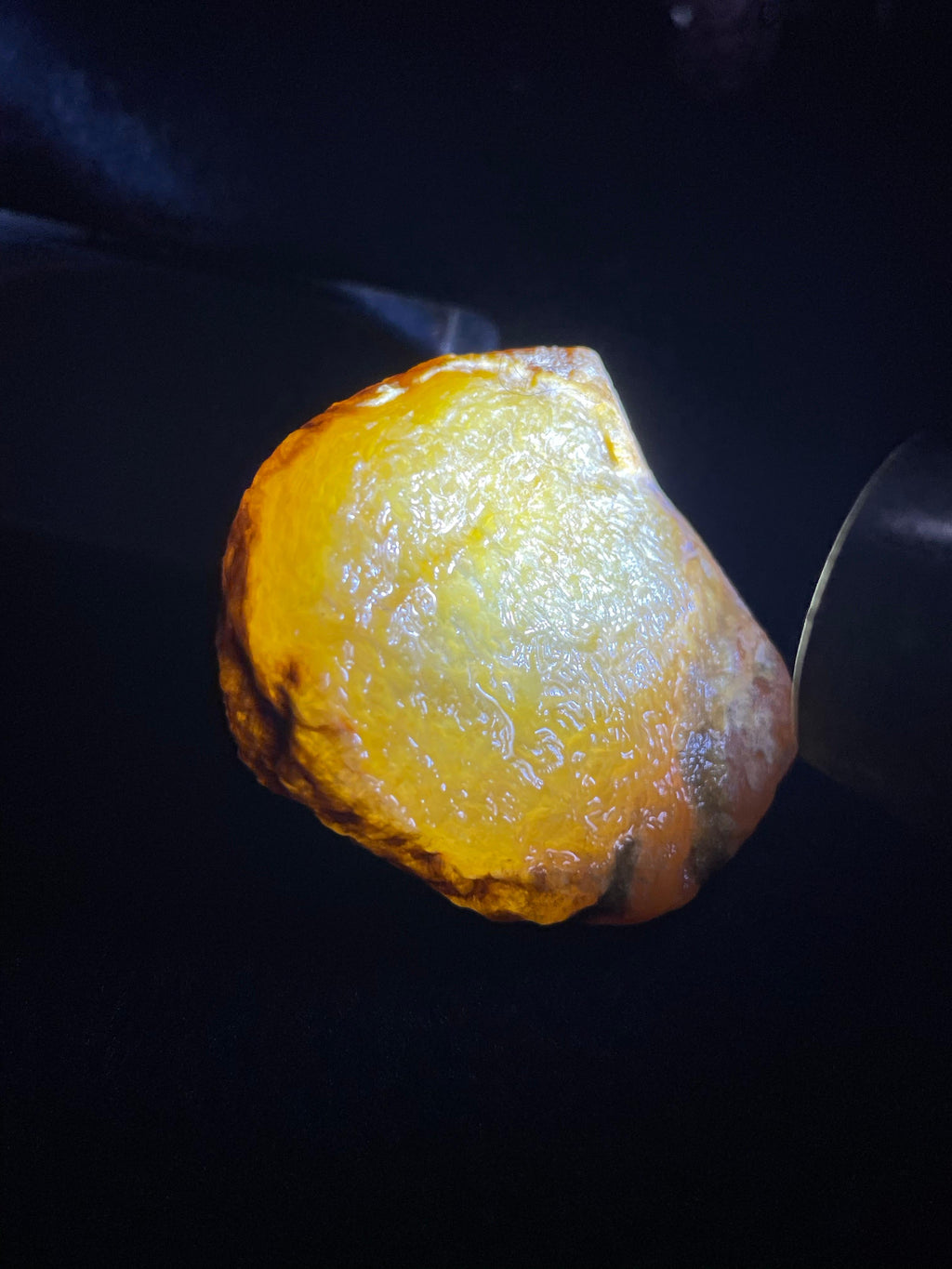 大马坎冰黄小精品（yc702723）