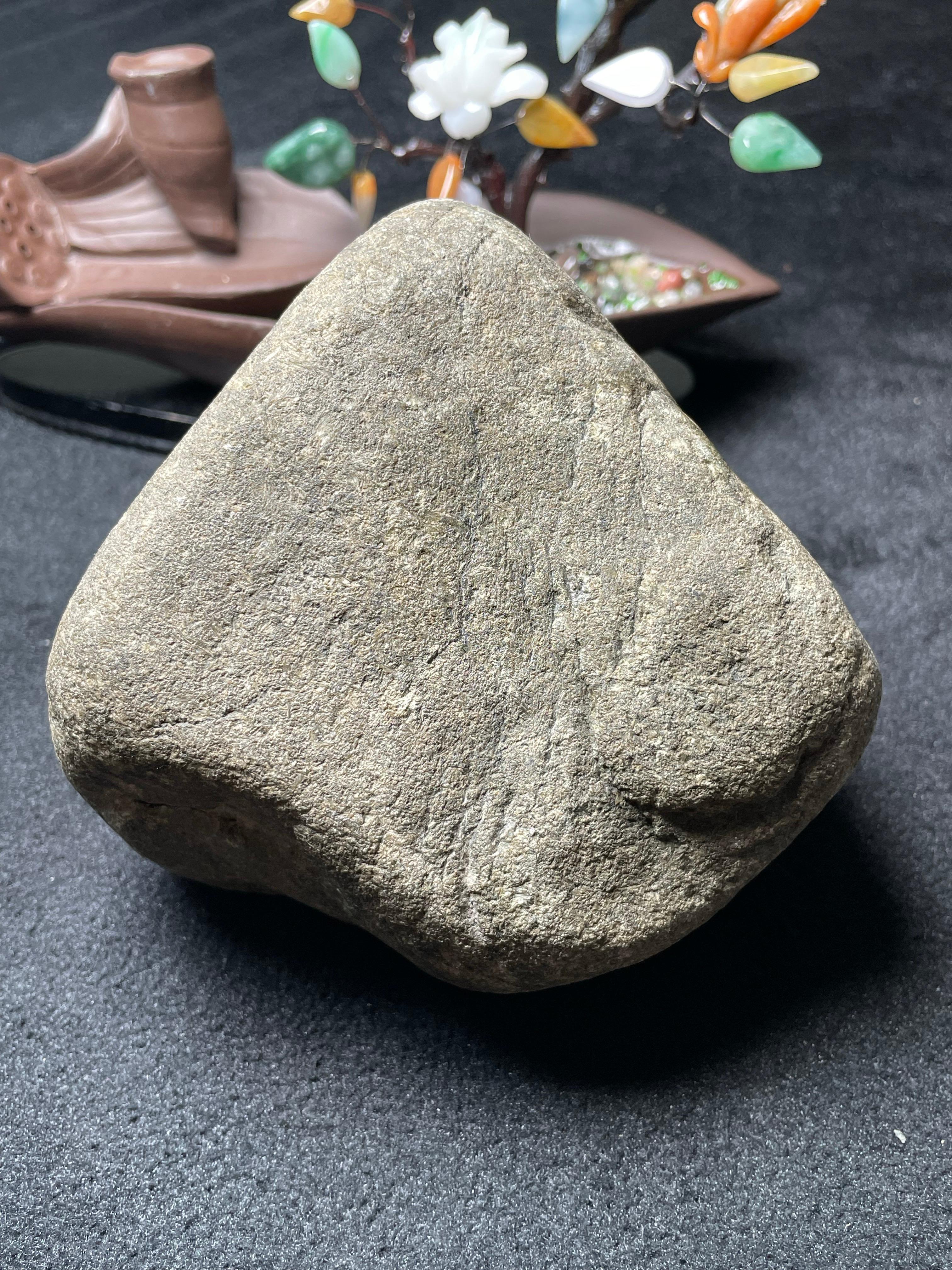 后江开窗果绿（yc501818）