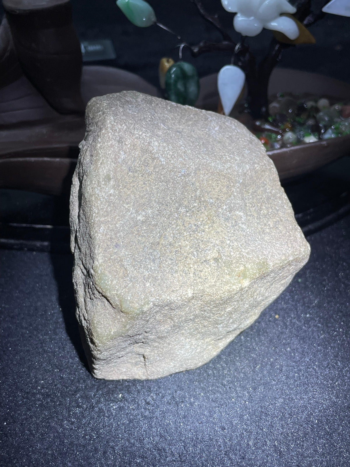 全赌后江断口紫罗兰（yc709868）