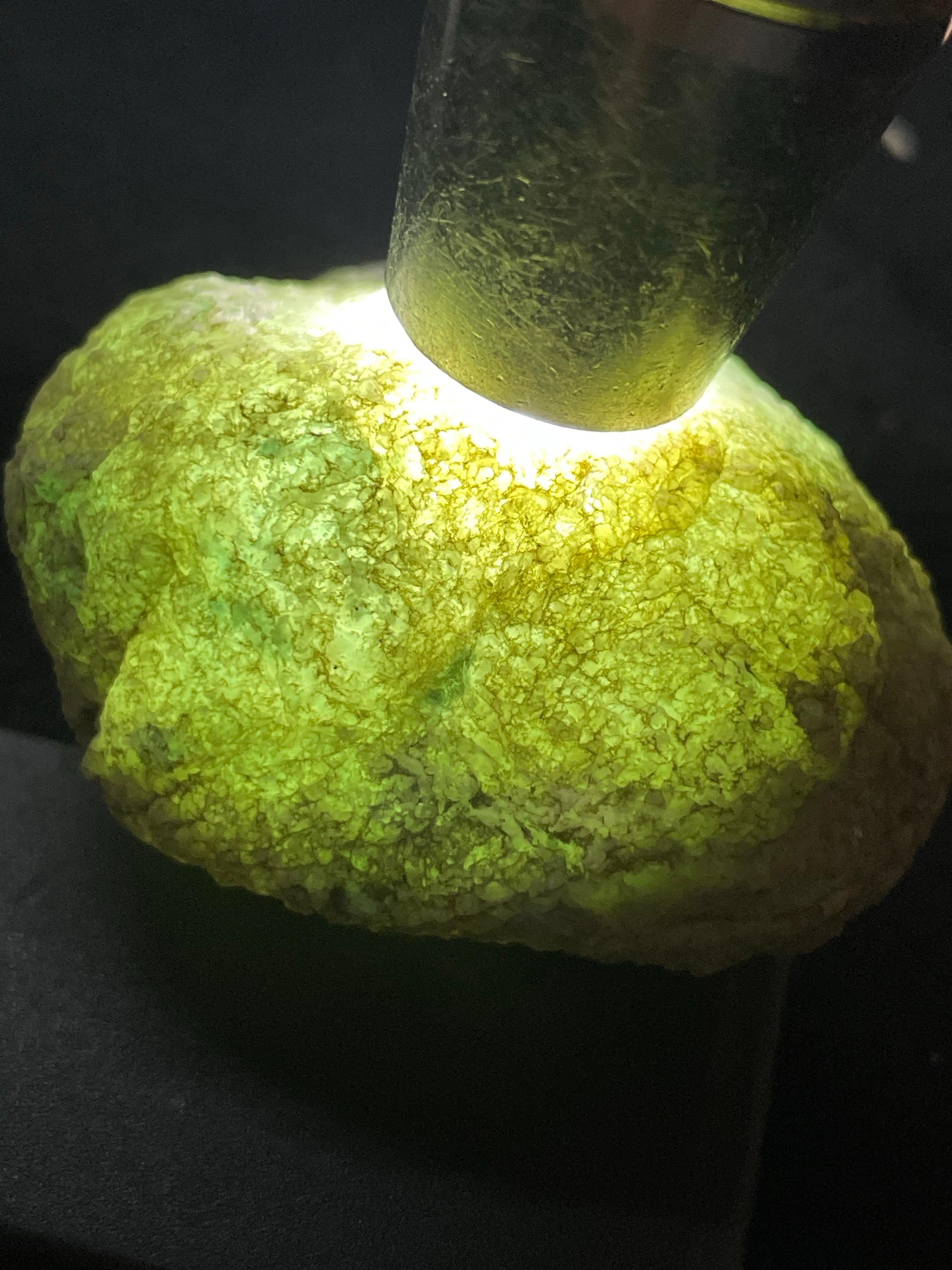 莫西沙脱沙小精品（yc530989）