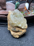 莫西沙开窗冰底飘黄飘色（yc695239）
