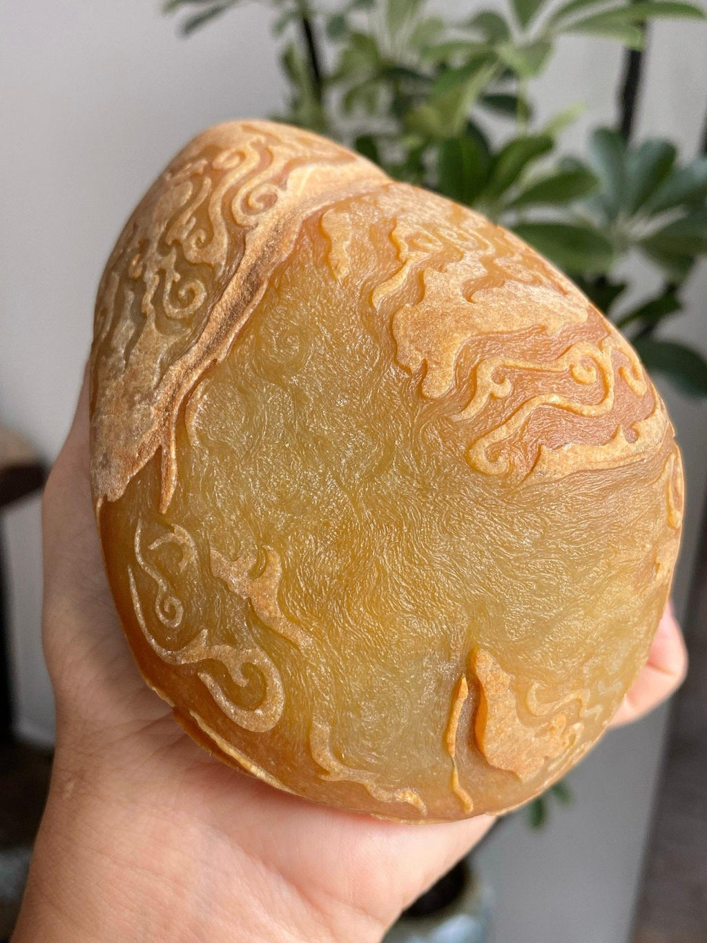 毛料｜达马坎（yc359548）