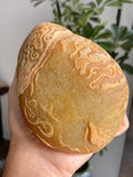毛料｜达马坎（yc359548）