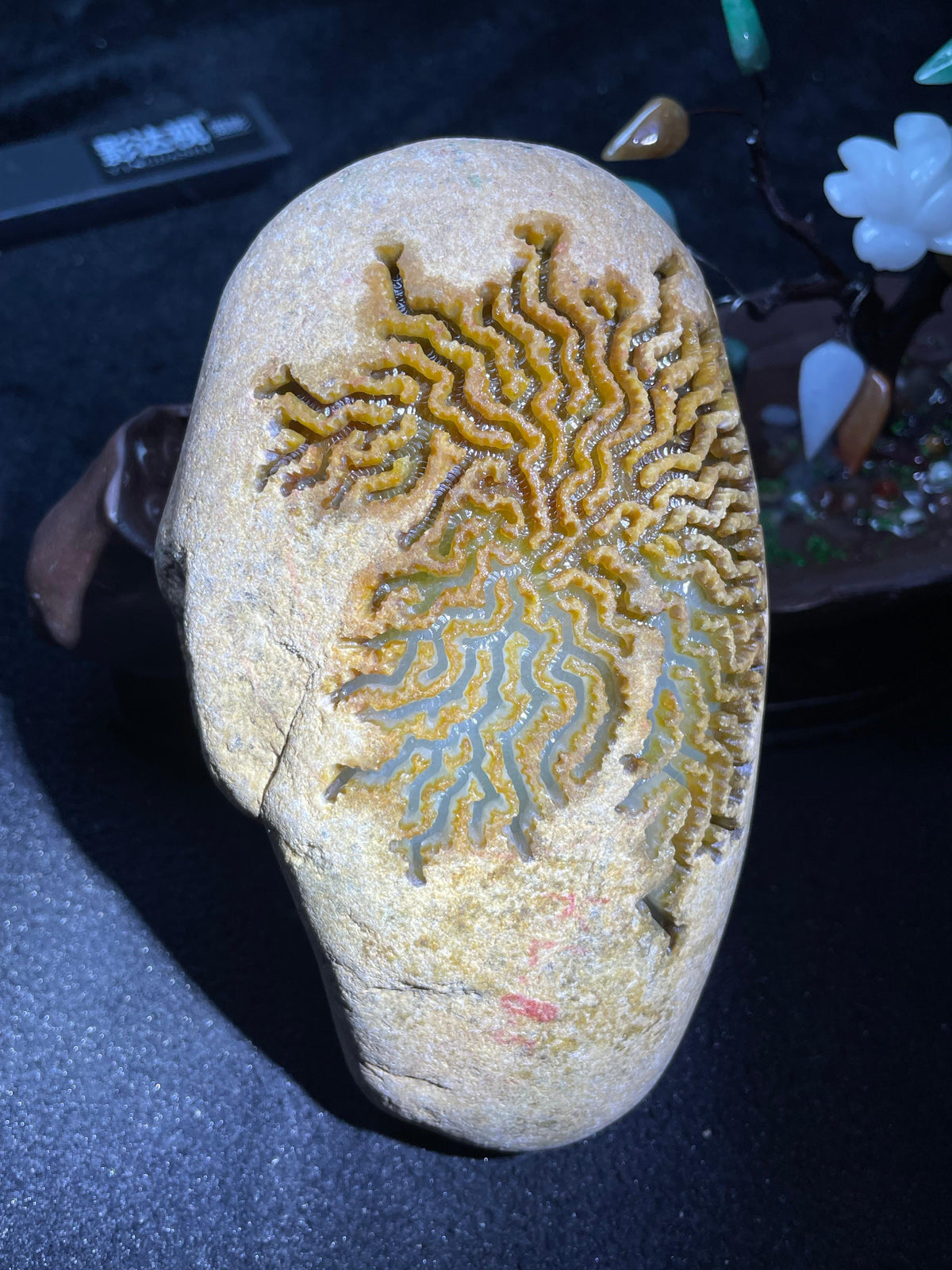 大马坎开窗白底加黄（yc703625）