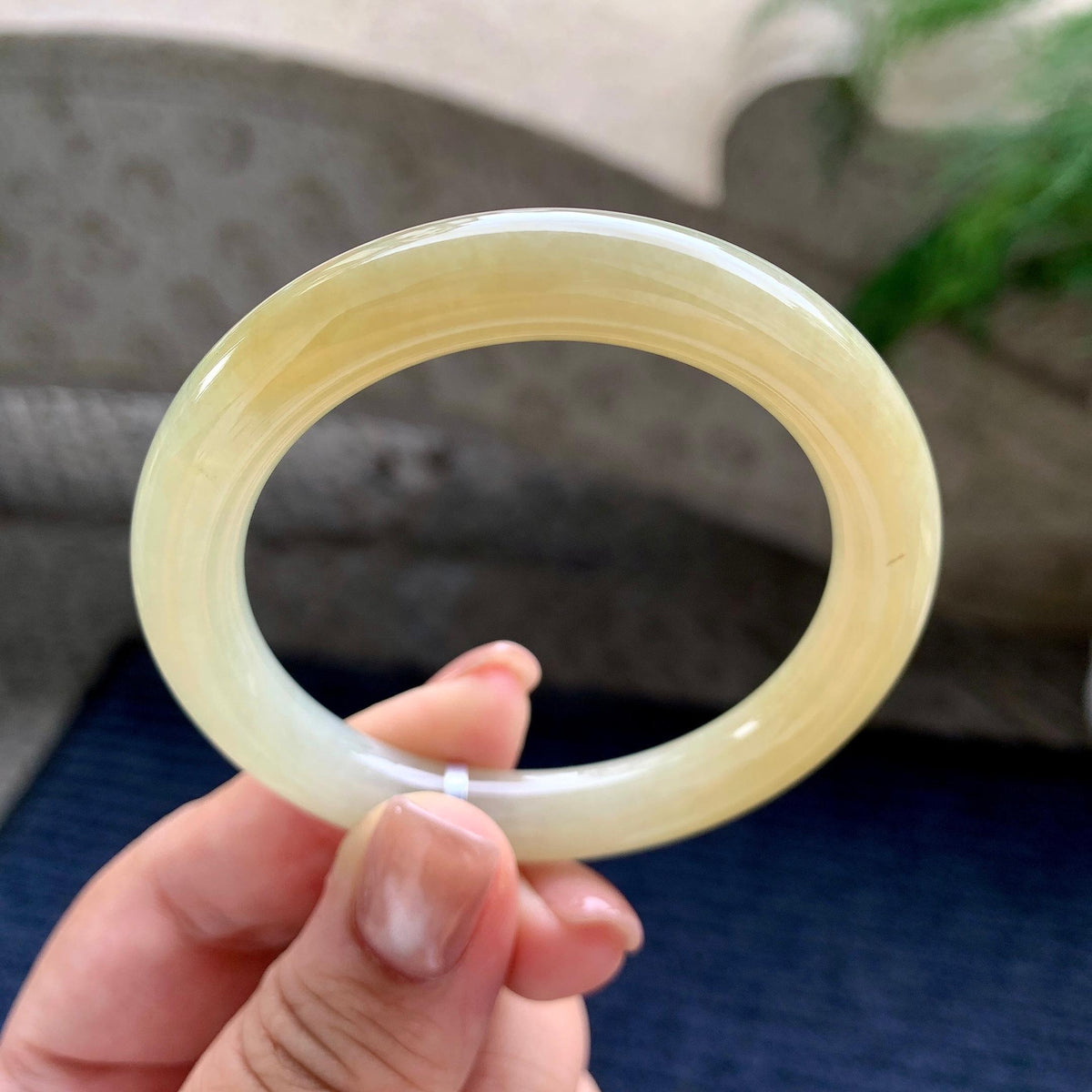 小圈口 细糯种黄翡圆条手镯 49.6圈口 天然缅甸A货翡翠（yc703337）