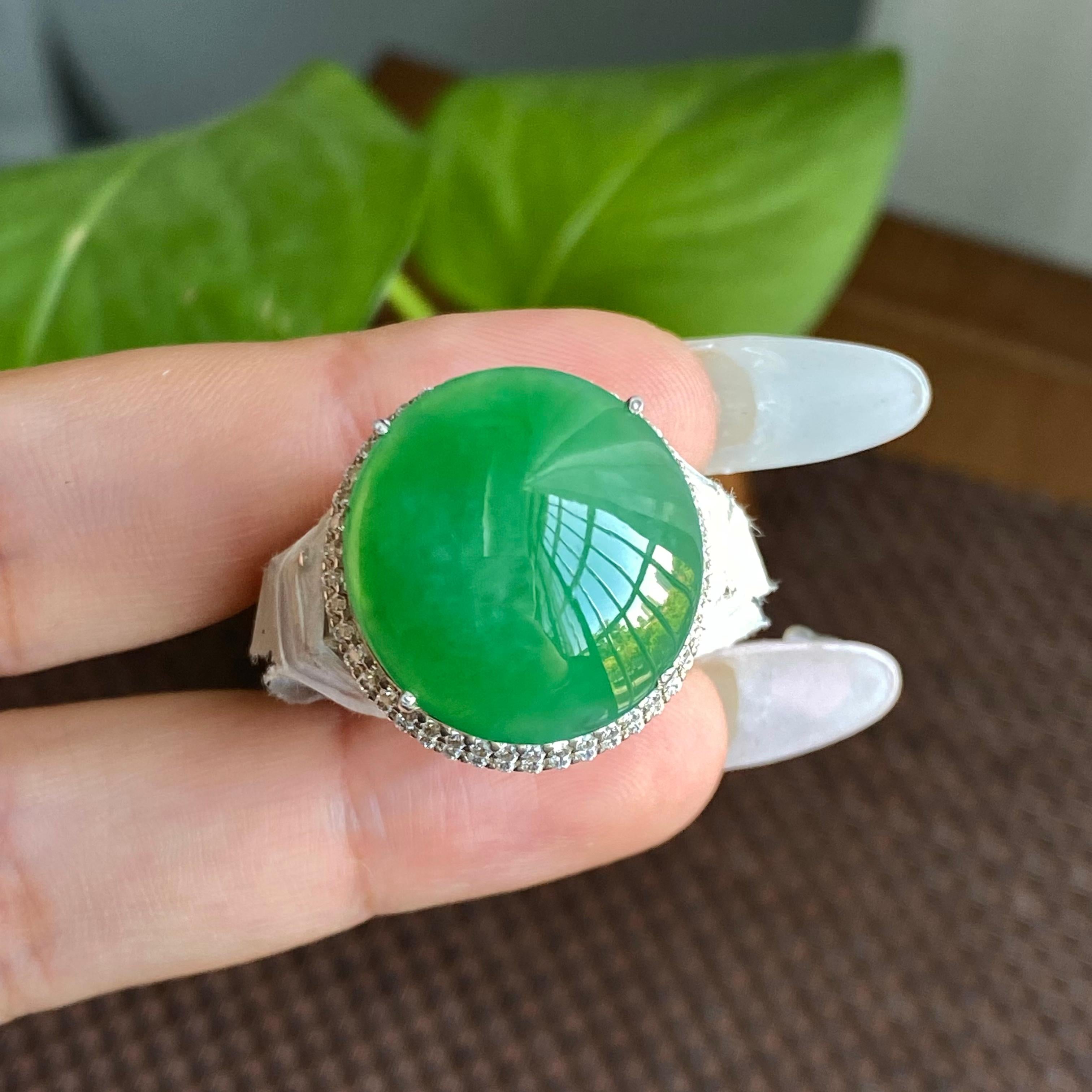 细糯种满绿裸石蛋面（yc282934）