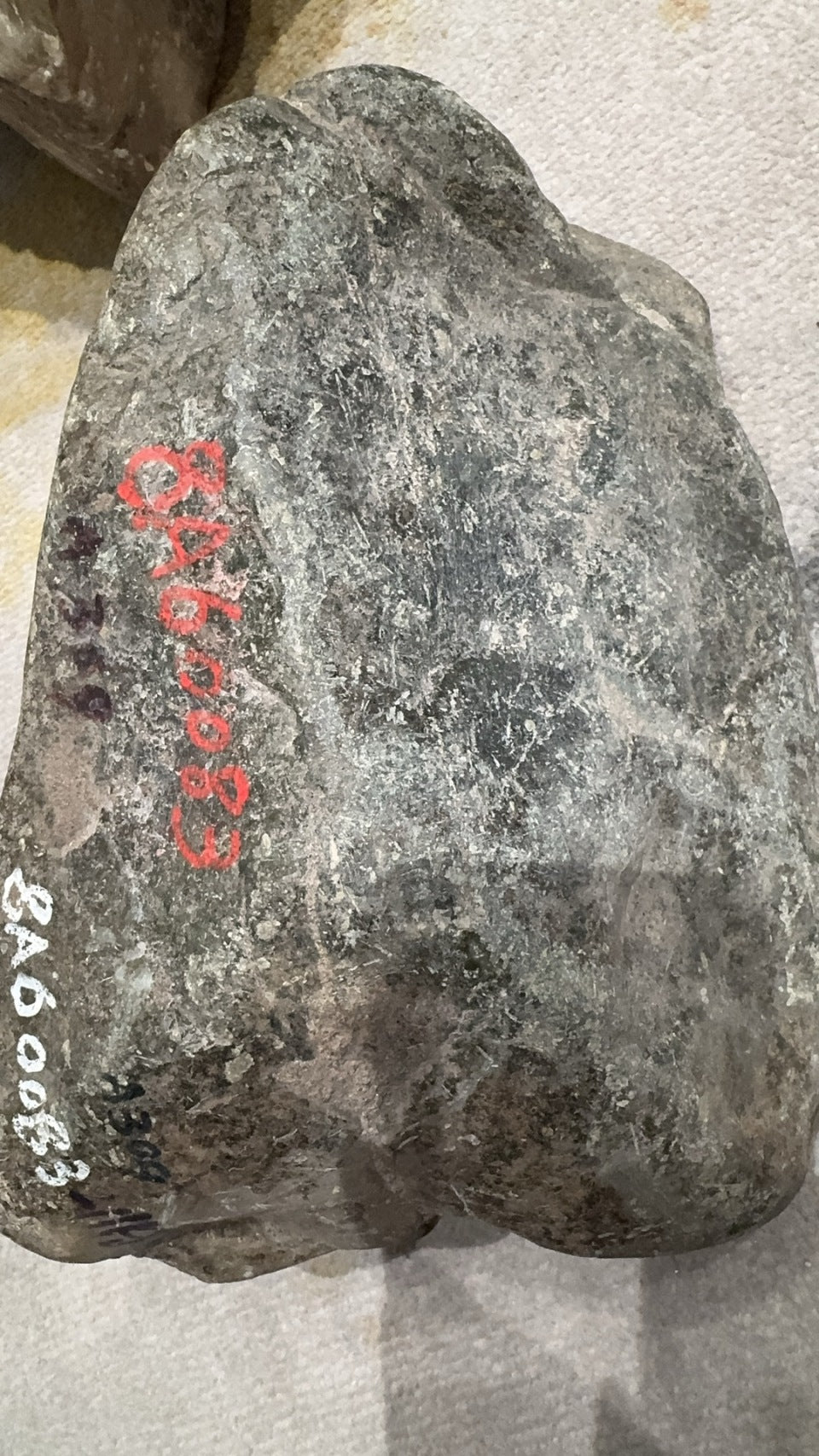 会卡料（yc049294）