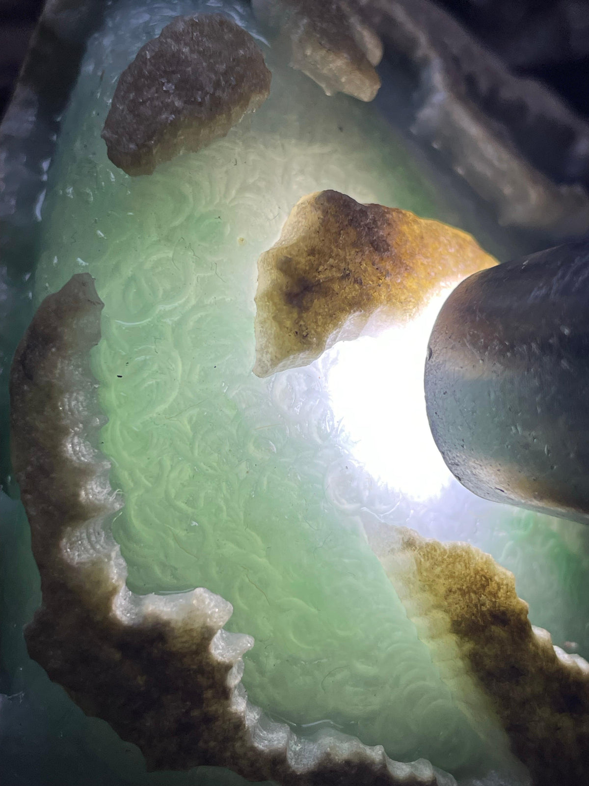 木那大面积开窗白底飘色（yc693735）