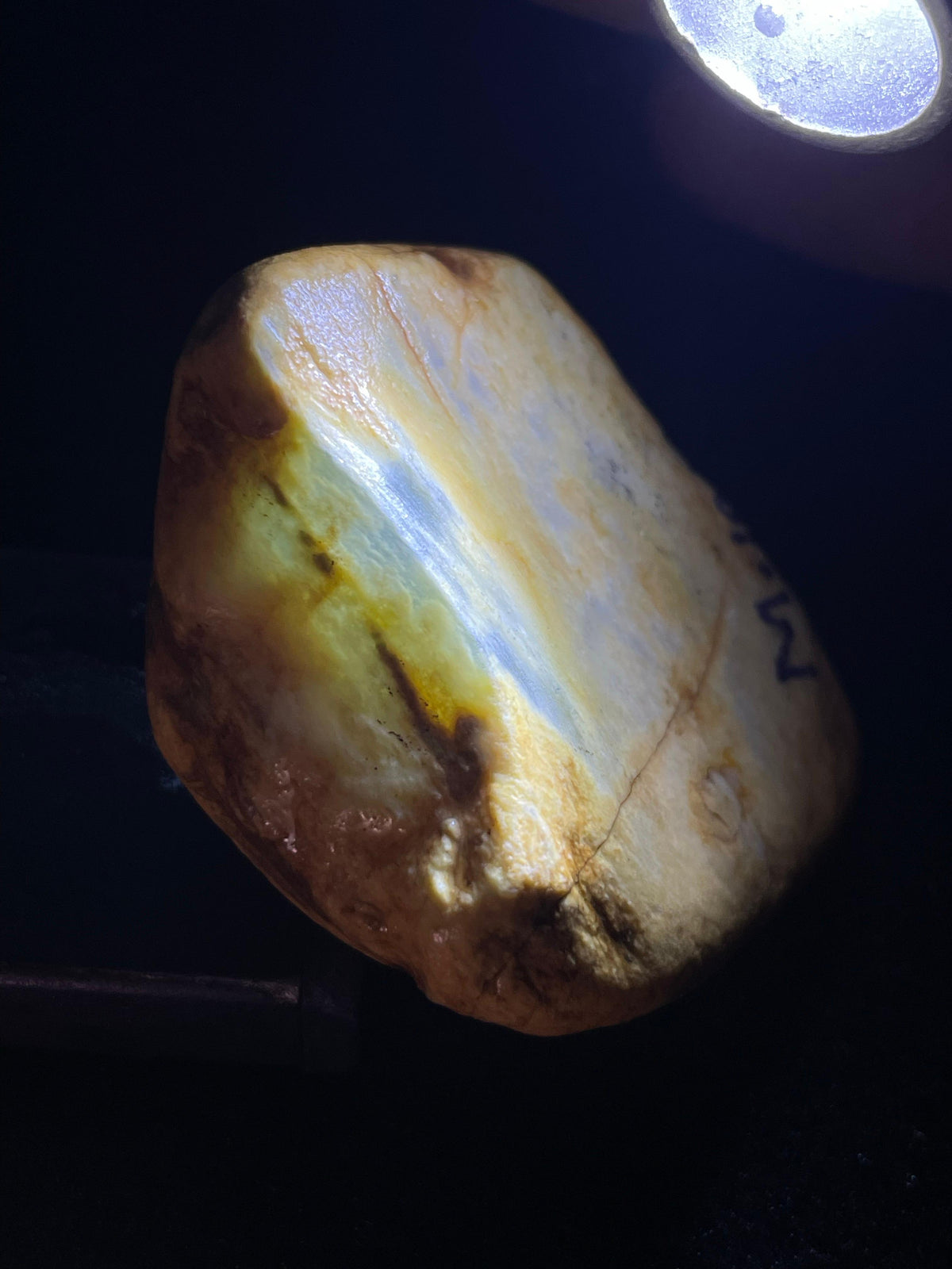 全赌脱沙大马坎小精品（yc700247）