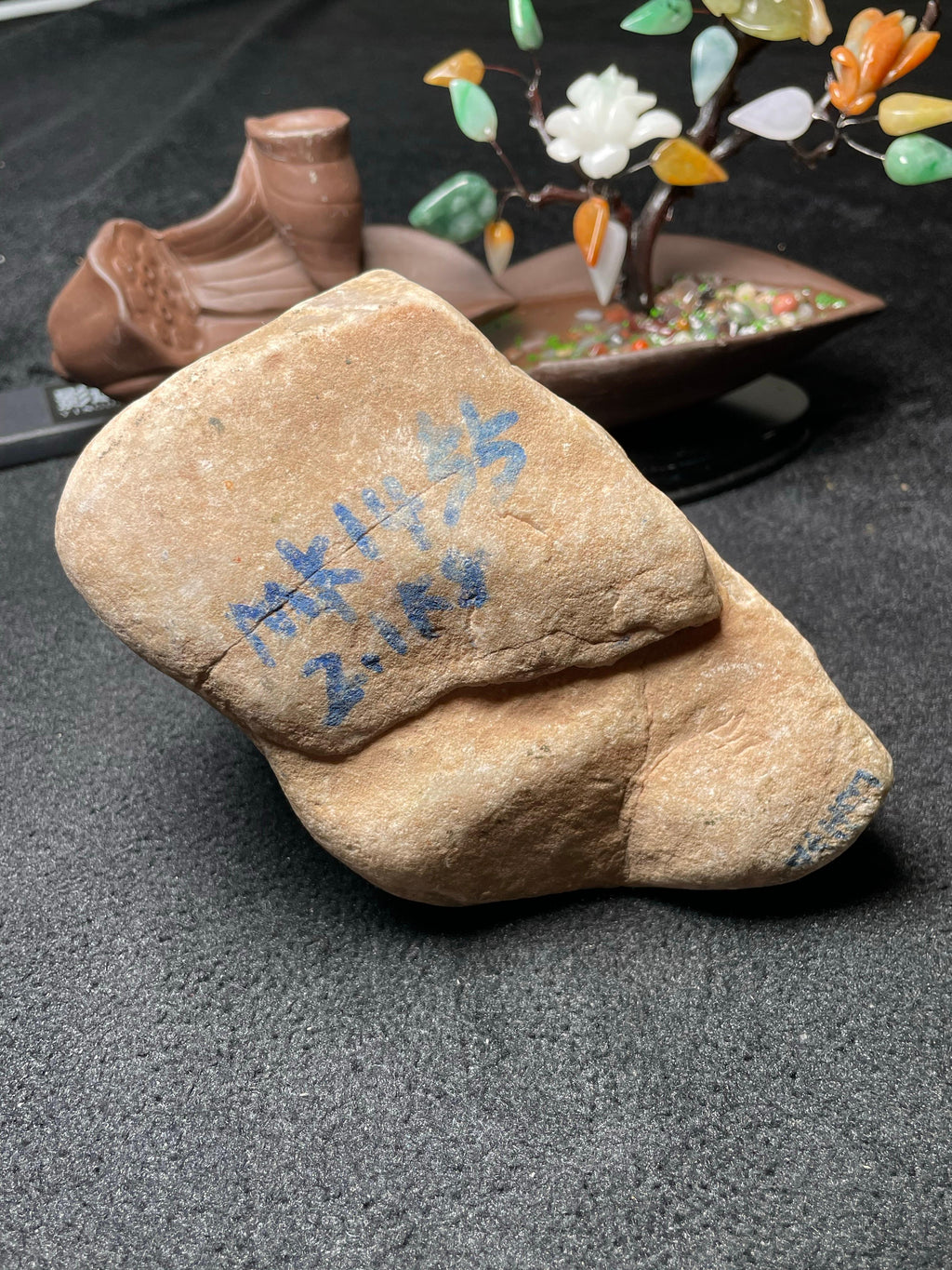 木那开窗紫罗兰（yc506373）