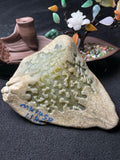莫西沙开窗黄翡飘花（yc493921）