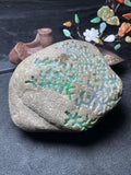 极品后江冰底淡紫飘色（yc694236）