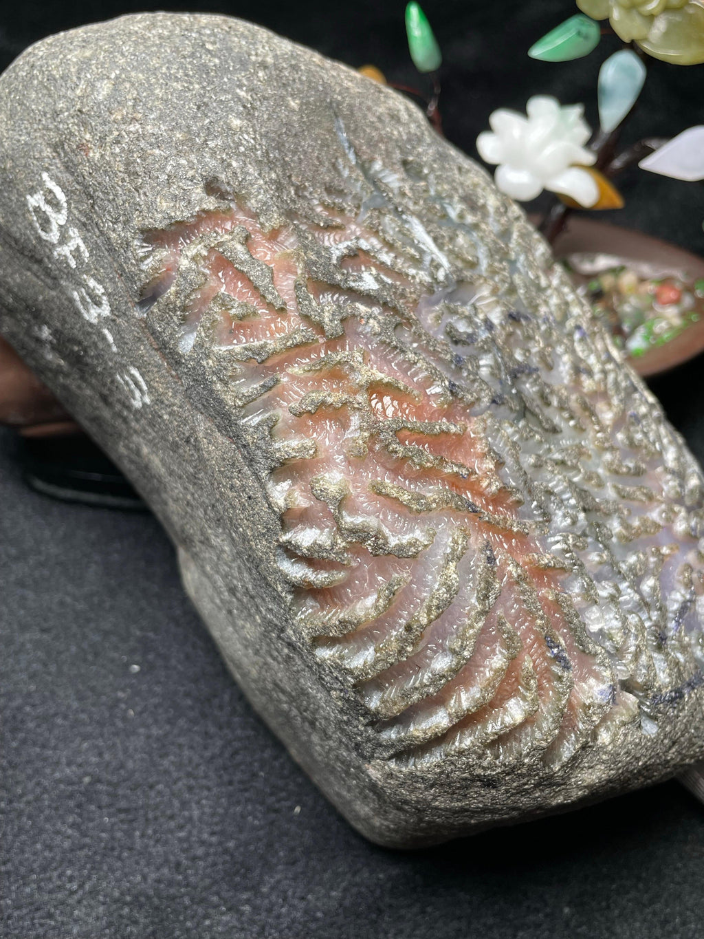 莫西沙多彩开窗特色料（yc693783）