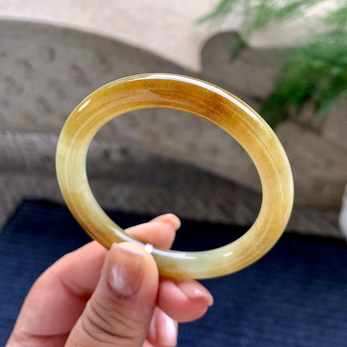 小圈口 细糯种黄翡圆条手镯 52圈口 （yc705881）