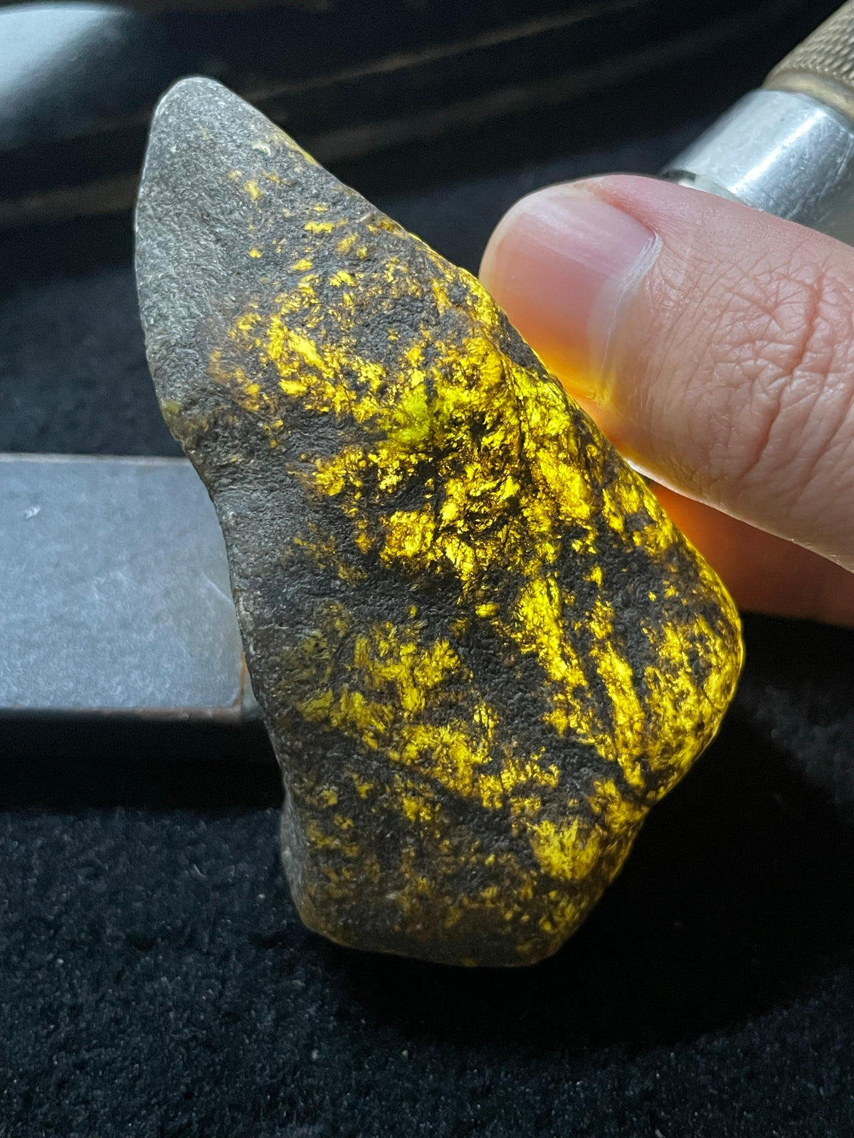 全赌莫西沙脱沙料（yc712248）