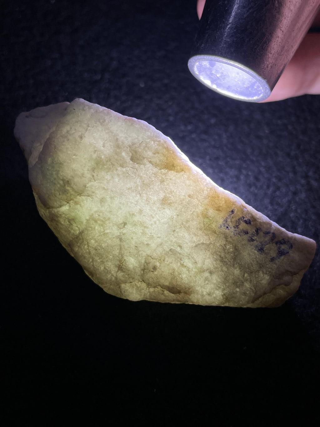 木那脱沙小精品（yc702775）
