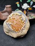极品莫西沙开窗冰黄手镯料（yc504742）