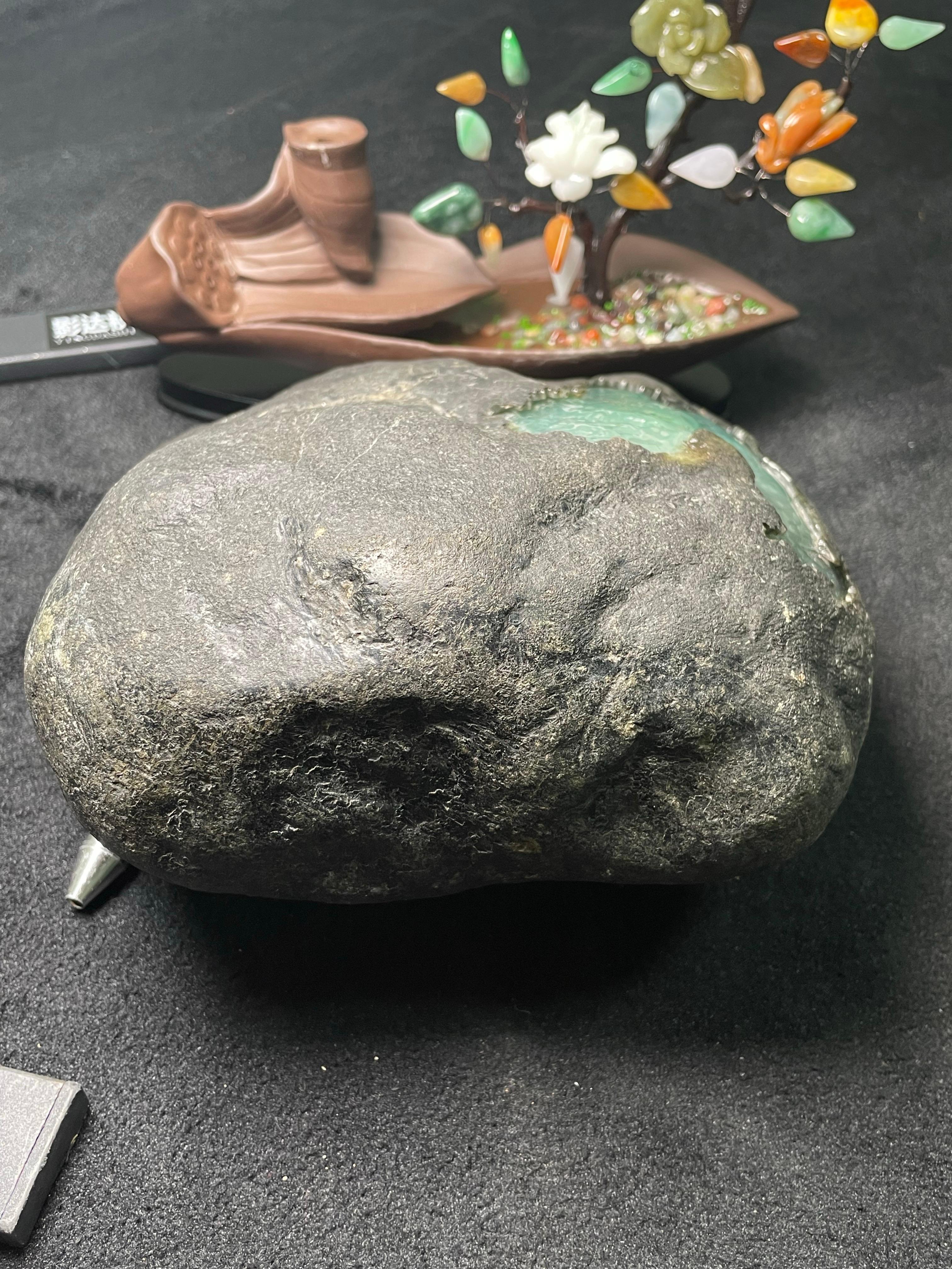 莫西沙开窗雪花棉飘色（yc496236）