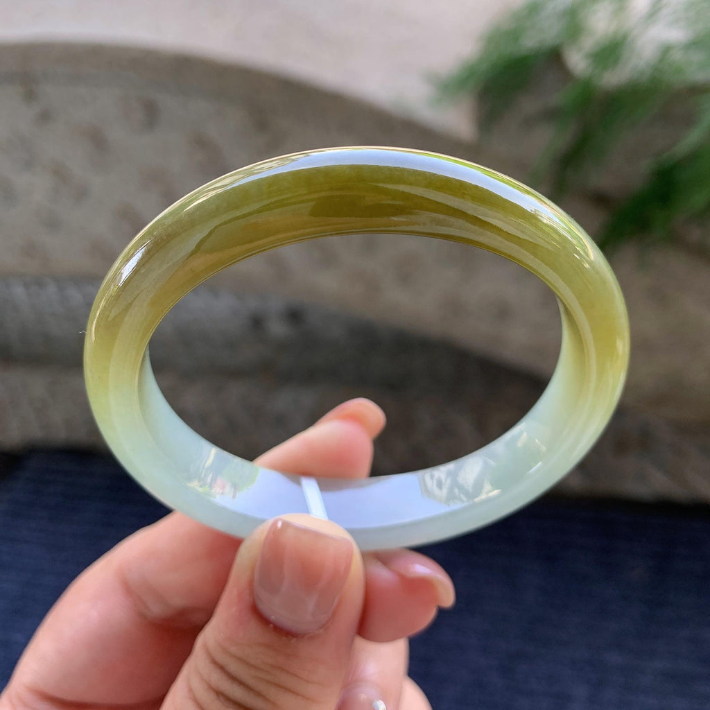 细糯种黄翡贵妃手镯 53.7圈口 天然缅甸A货翡翠（yc498078）