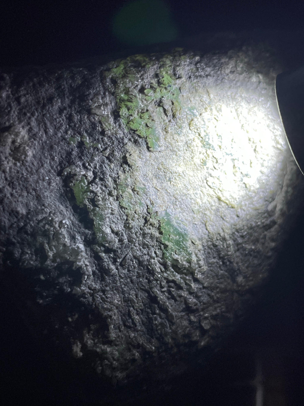 全赌莫西沙脱沙料（yc706161）