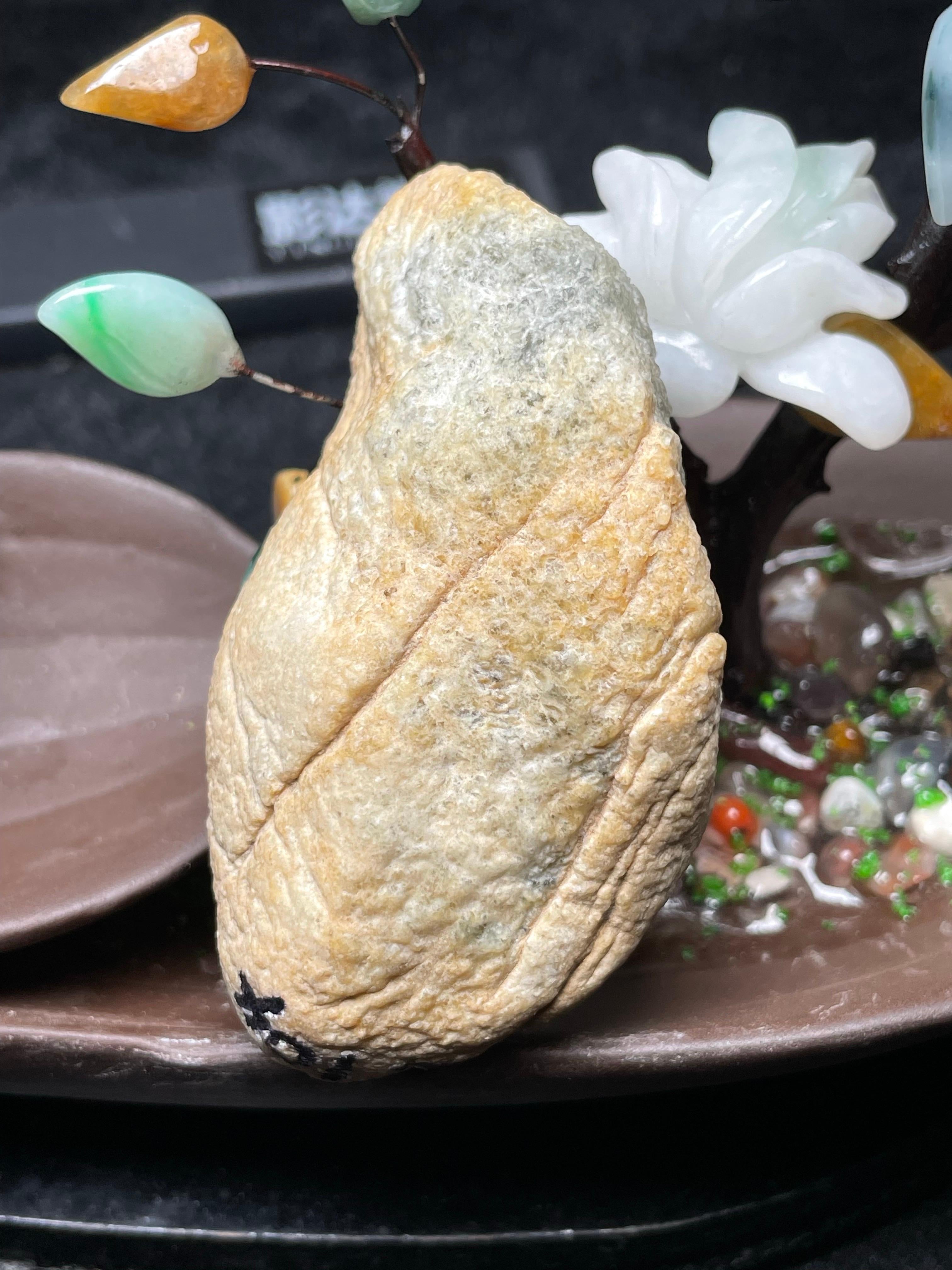 莫西沙脱沙小精品（yc533478）
