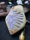 木那开窗桃花春（yc698604）