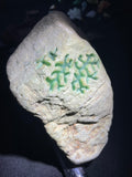 木那开窗绿晴大料（yc703133）